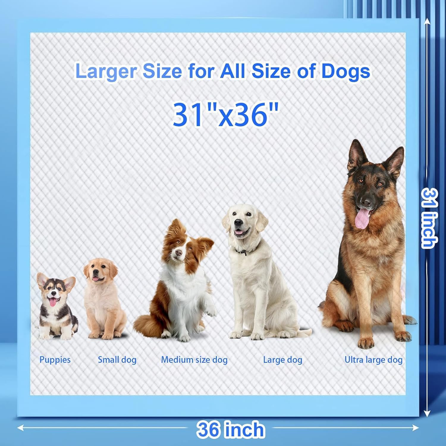 Extra Large Dog Pee Pads, 60 Pads 31"x36" Disposable Training Pads, Puppy Pads with high Absorbency and Leak-Proof Protection for House Training Cats,Rabbits,Dogs Leak-Proof Dog Pee Pads Extra Large - Image 2