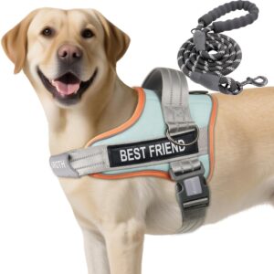 AUROTH Dog Harness and Leash Set, Soft Padded Service Dog Vest with 5.25FT Dog Leash, No Choke, Easy On Pet Vest, Adjustable Reflective No Pull Dog Harness for Large Dogs, Easy Walking and Training