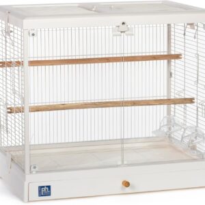 Prevue Pet Products Clear View Glass Standing Bird Cage – Ideal for Small Birds like Parakeets, Budgies, Finches, Cockatiel, & Lovebirds, Stand-Alone Birdcage – White