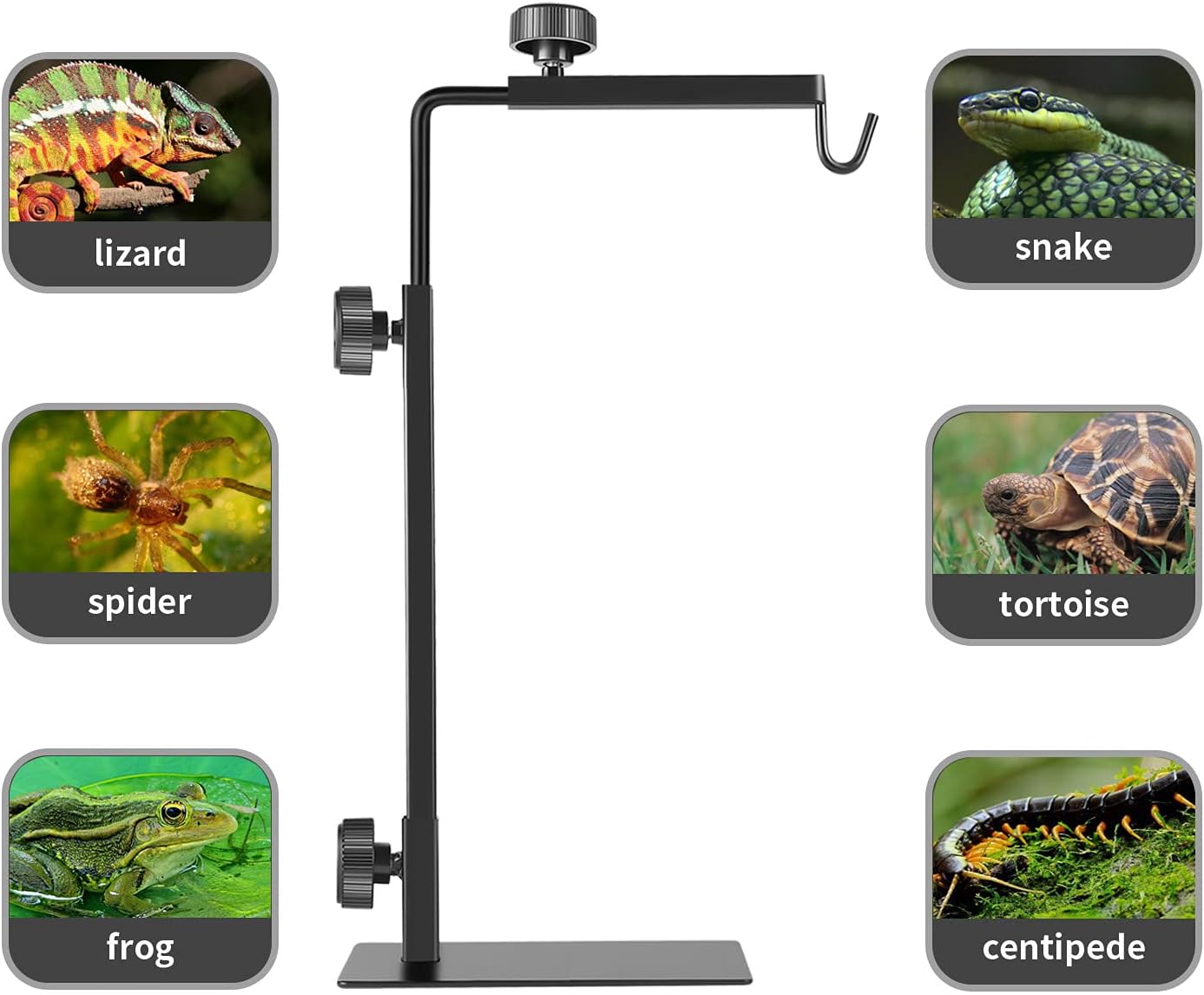 Reptile Lamp Stand, Adjustable 16-31 Inch Domes Heat Lamp Metal Bracket Floor Light Holder for Reptile Terrarium Lighting Heating Light and Dome lampshade, Large - Image 2