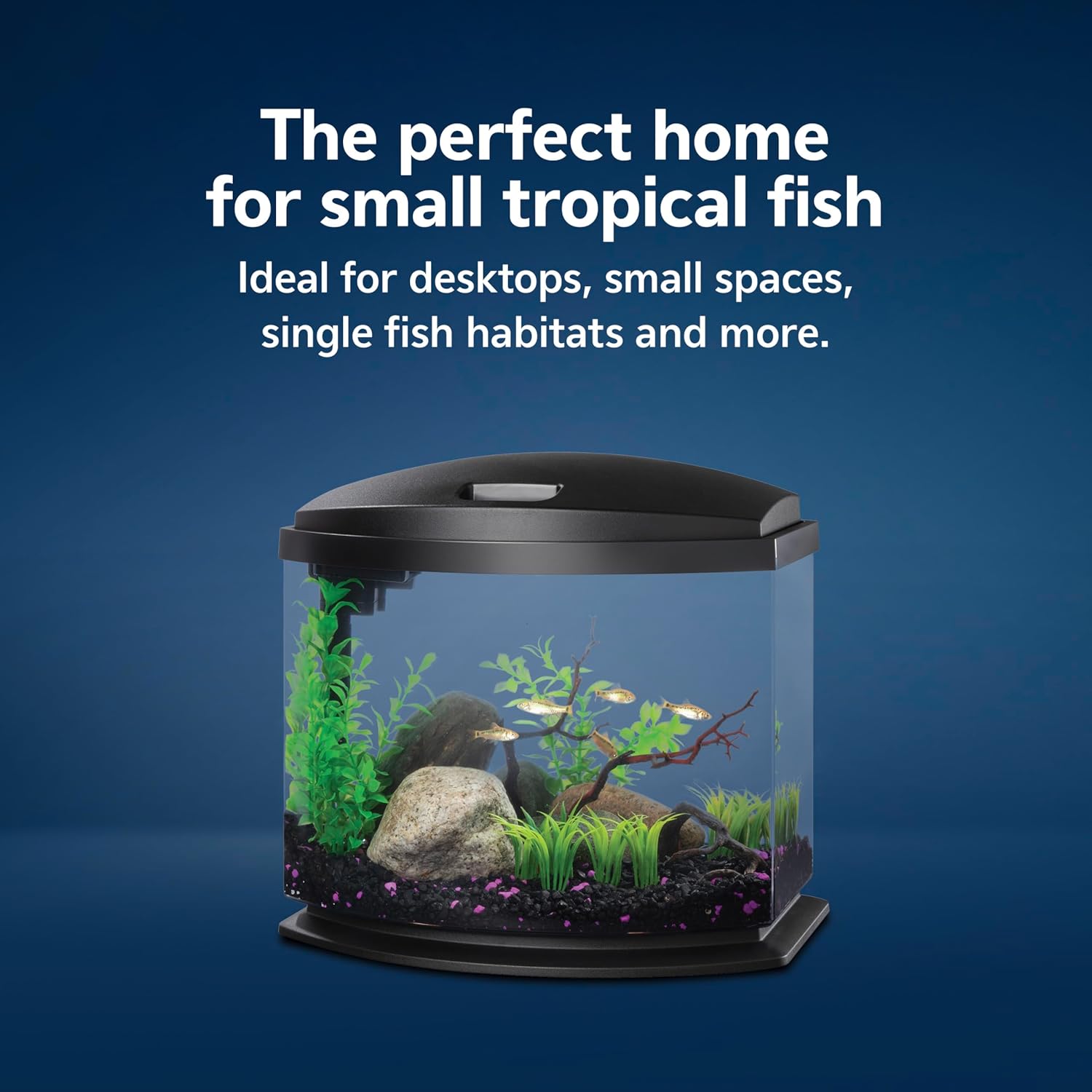 Aqueon LED MiniBow Small Aquarium Fish Tank Kit with SmartClean Technology, Black, 5 Gallon - Image 5