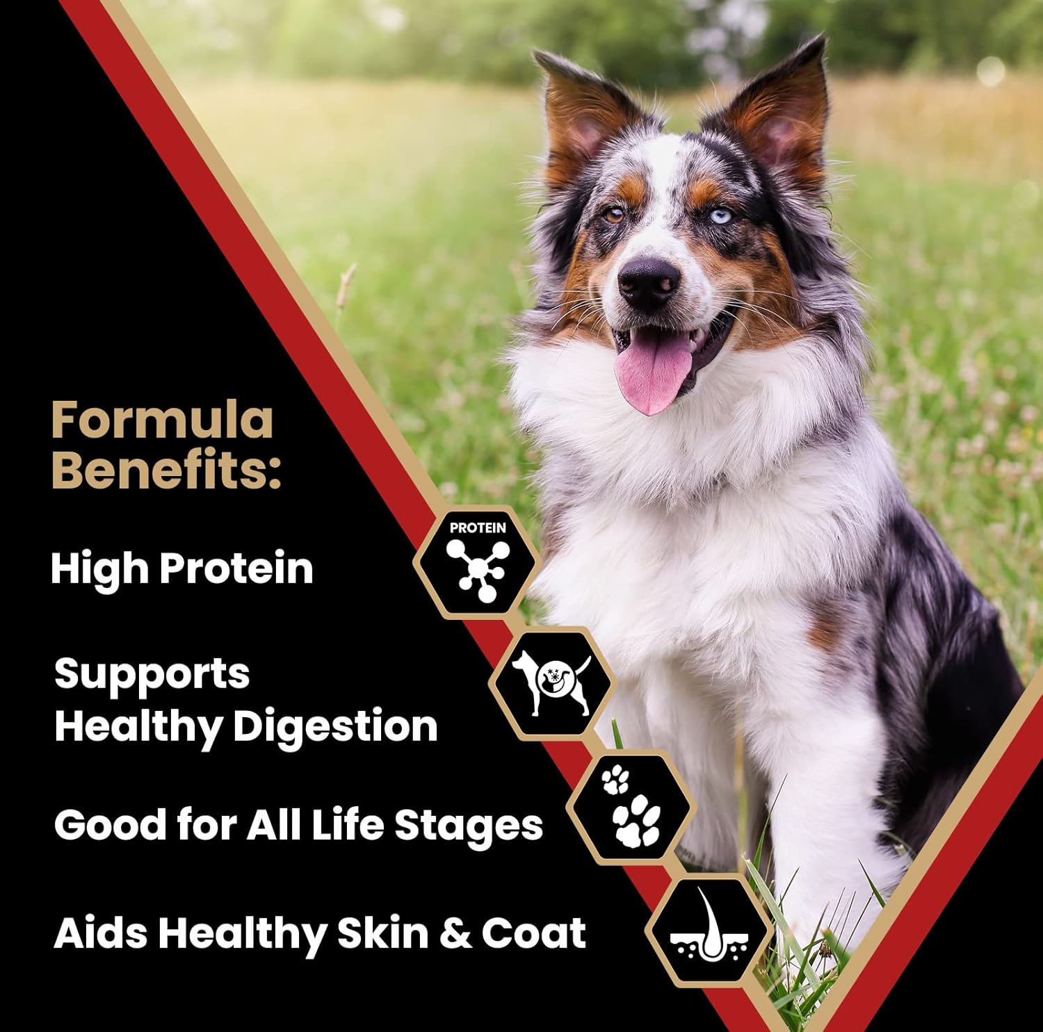 VICTOR Super Premium Dog Food – Purpose Nutra Pro – Gluten-Free, High Protein Low Carb Dry Kibble for Active Dogs of All Ages – Ideal for Sporting, Pregnant or Nursing Dogs & Puppies, 5lbs - Image 2