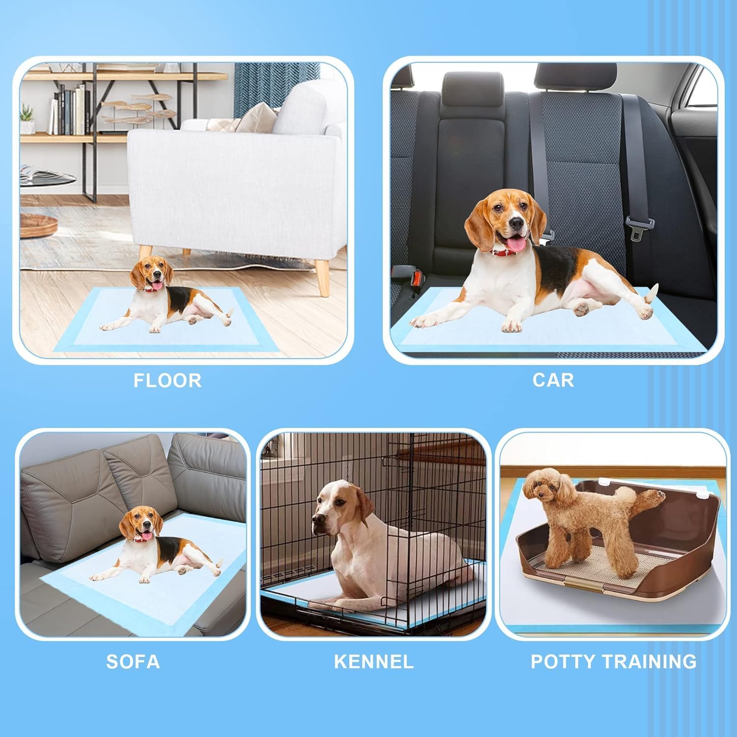Extra Large Dog Pee Pads, 60 Pads 31"x36" Disposable Training Pads, Puppy Pads with high Absorbency and Leak-Proof Protection for House Training Cats,Rabbits,Dogs Leak-Proof Dog Pee Pads Extra Large - Image 4
