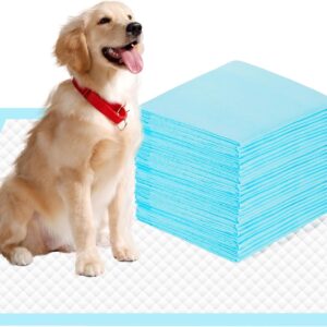 22″ x 23″ Pee Pads for Dogs, 6 Layers Super Absorbent, Leak Proof Quick Drying Pet Pee Pads, Training Puppy Pads – 10 Count