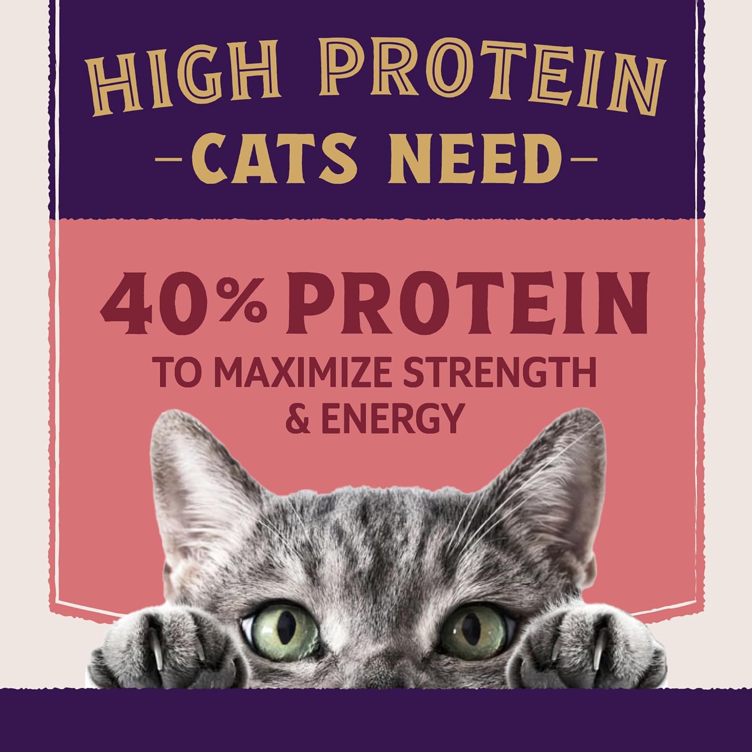 Natural Balance Ultra Protein Plus Dry Cat Food, Skin & Coat and Digestive Health Real Salmon & Chicken Meal Recipe with Chicken Liver & Chicken Heart, High Protein Cat Food for Picky Cats - 5 lbs - Image 5