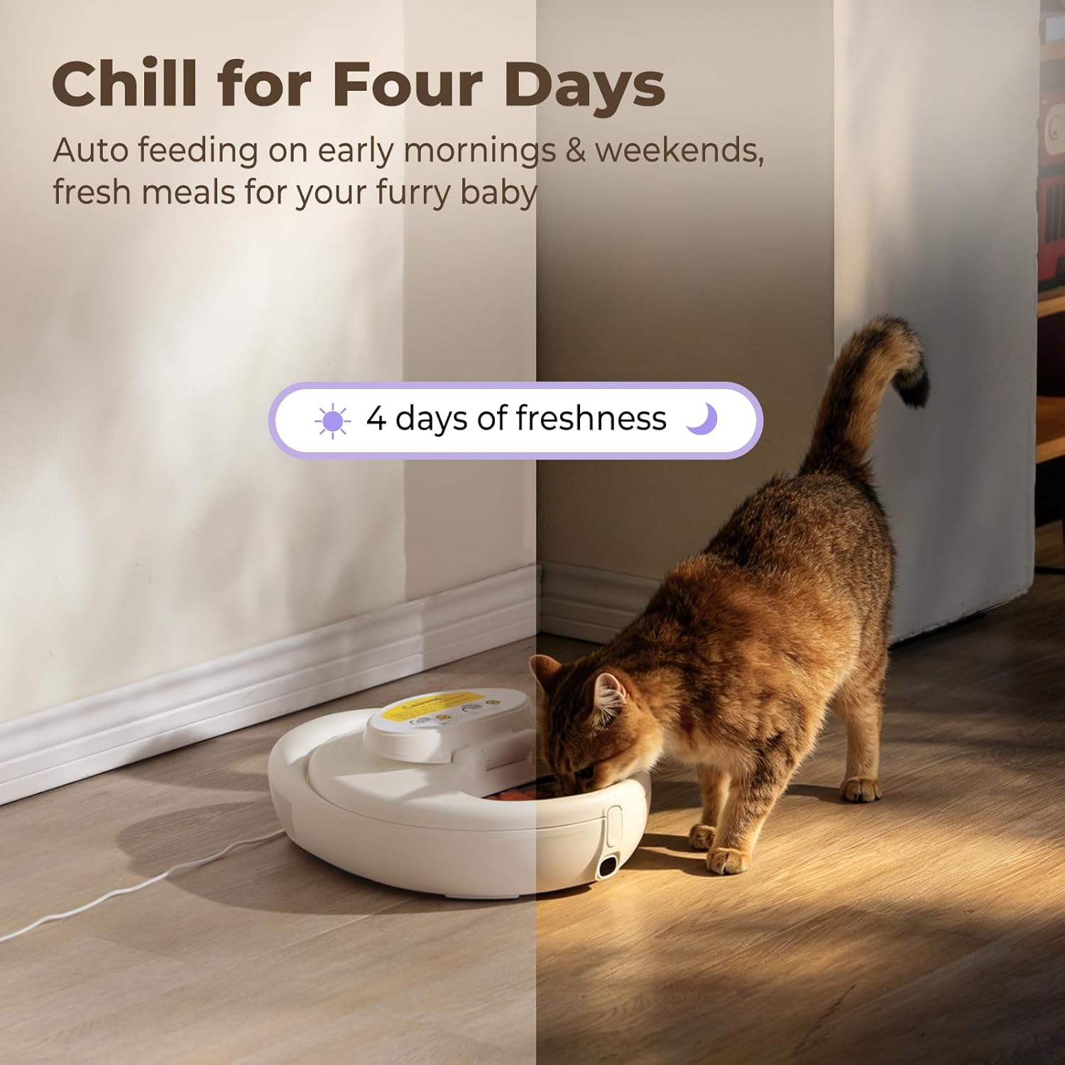 Robotail Automatic Cat Feeder for Wet Food - Fresh for 4 Days, Smart Dual-Temp Semiconductor Cooling & Heating Auto Cat Feeder with Multi-Function App, 4 Fresh Meal, Infrared Sensing, Easy to Clean - Image 3
