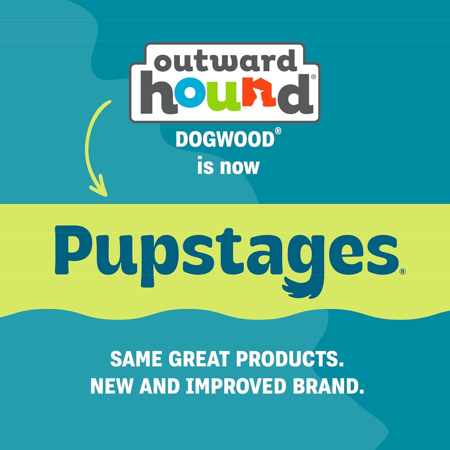 Pupstages Super Dogwood Dog Chew Toy, Made in the USA – Real-Wood Blend, Natural Wood Flavor & Texture, Moderate Chewers, XS, 6" - Image 8