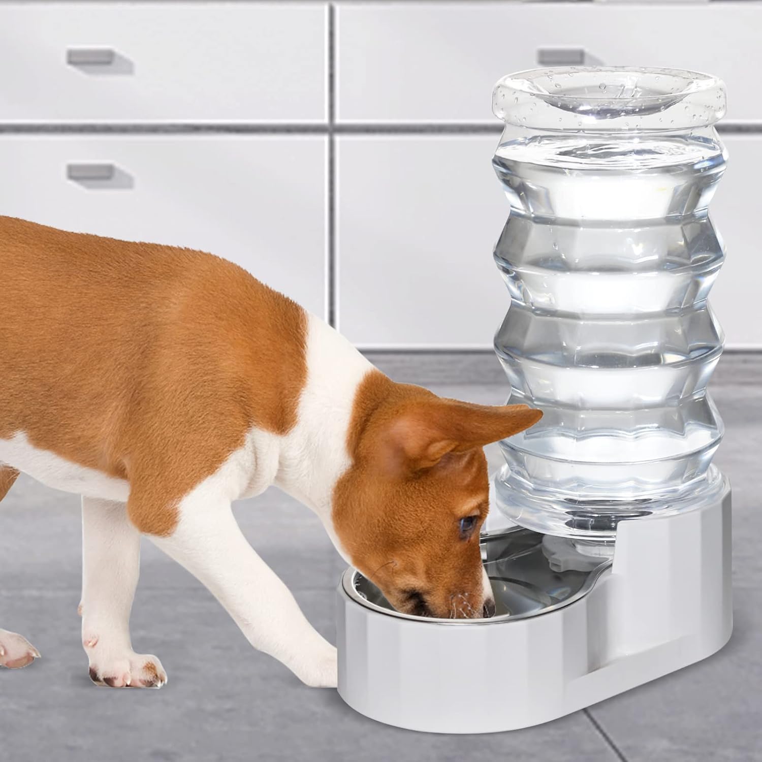 RIZZARI 8L Stainless Steel Gravity Pet Water Dispenser – Auto-Refill Waterer with Filtered Hydration Design for Dogs & Cats, Fresher Daily Drinking for Multi-Pet Homes & Indoor Spaces - Image 7