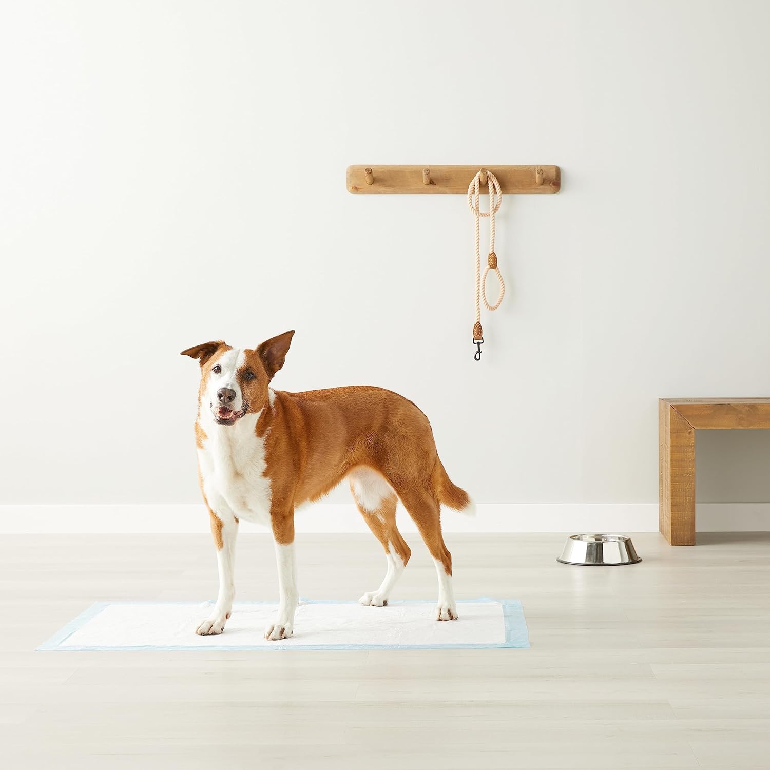 Amazon Basics Heavy Duty Dog and Puppy Pee Pads, Leak-Proof 5-Layer Super Absorbent, Quick-Dry Surface for Potty Training and Housebreaking, Giant Size, 27.5 x 44 Inch, Blue & White, 30-Pack - Image 6