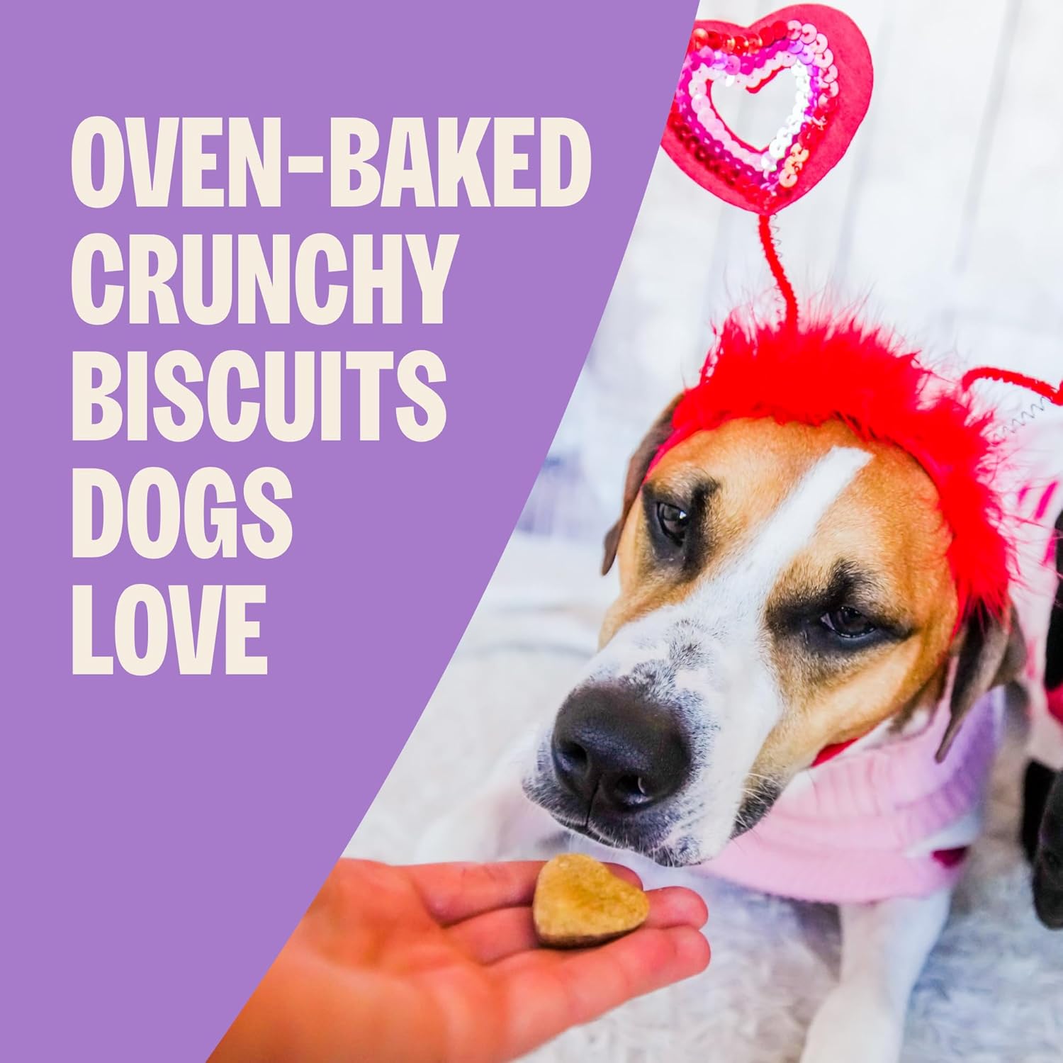 Wellness Old Mother Hubbard Bits of Love P-Nuttier Dog Biscuits, Natural Treats, Valentine's Day, Seasonal, Peanut Butter Flavor, 6 oz Bag - Image 2