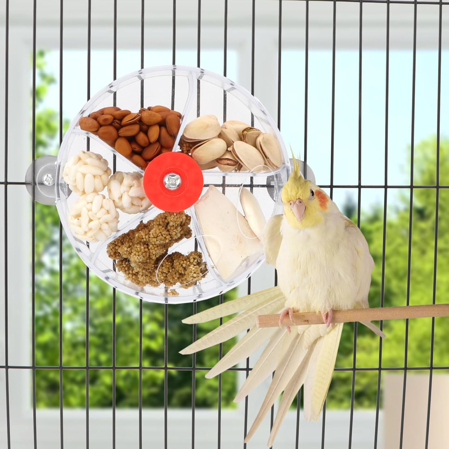 Bird Creative Foraging System Wheel Seed Food Ball Rotate Training Toy for Small and Medium Parrots Parakeet Cockatiel Conure (Clear) - Image 2