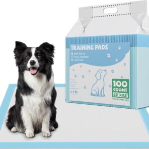 DUMOS 100 Count Puppy Pads for Dogs, 22″ x 22″ Potty Puppy Training Pad, Dog Cat Pee Pads, Super Absorbency Disposable Pet Leakproof Quick Drying Pad