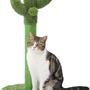 Made4Pets Cat Scratching Post, 25.6″ Cactus Cat Scratcher Kitten Scratch Post with Sisal Rope for Indoor Cats Claw Scratcher, Vertical Green Cat Tree with Dangling Ball for Kitties Medium