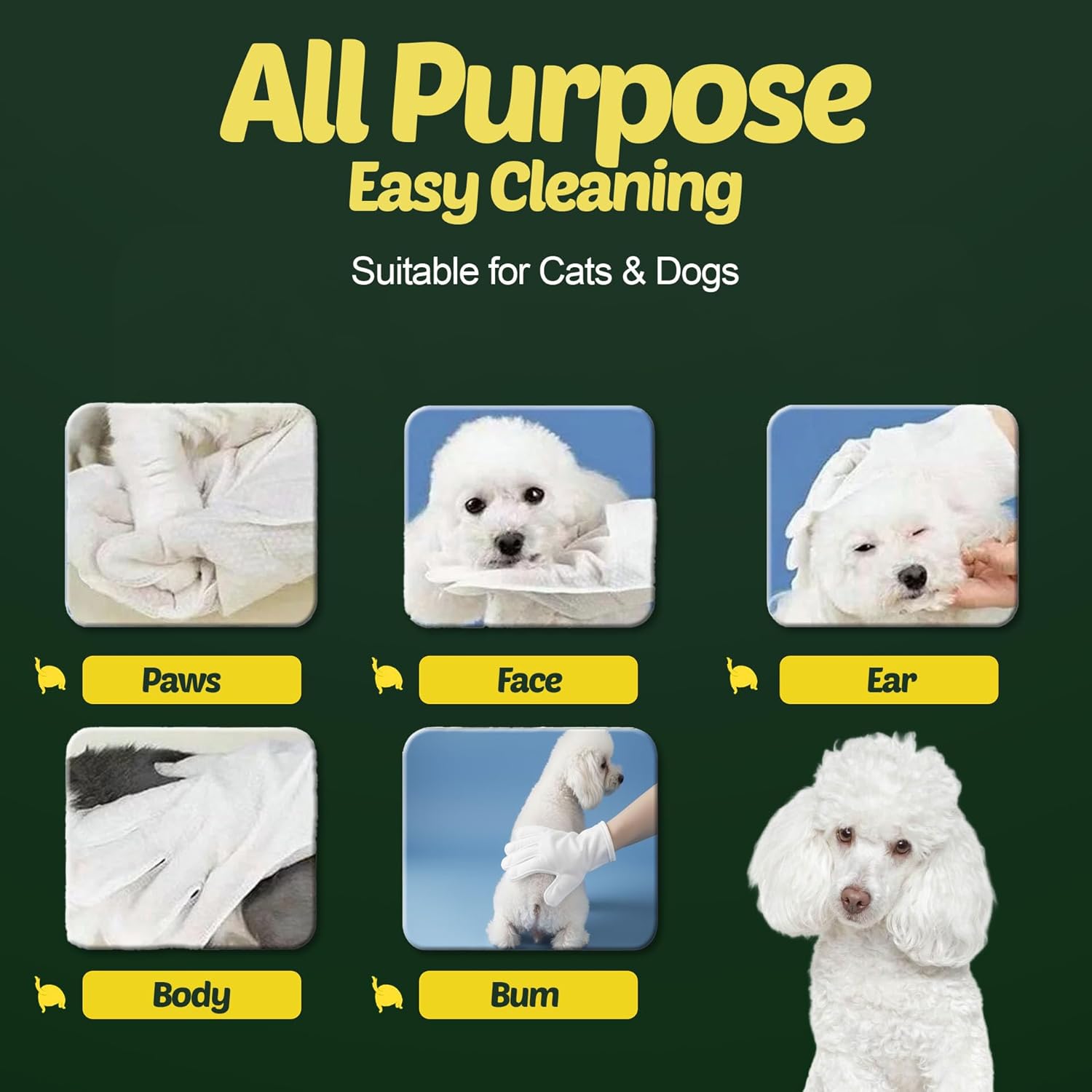 Petazy Pet Wipes for Dogs and Cats – 100 Count (8x8in) Hypoallergenic, Deodorizing Dog Wipes for Paws, Ears and Butt | XL with Aloe & Coconut oil, Lavender Scented | Travel Size, Single On-the-Go Pack - Image 7