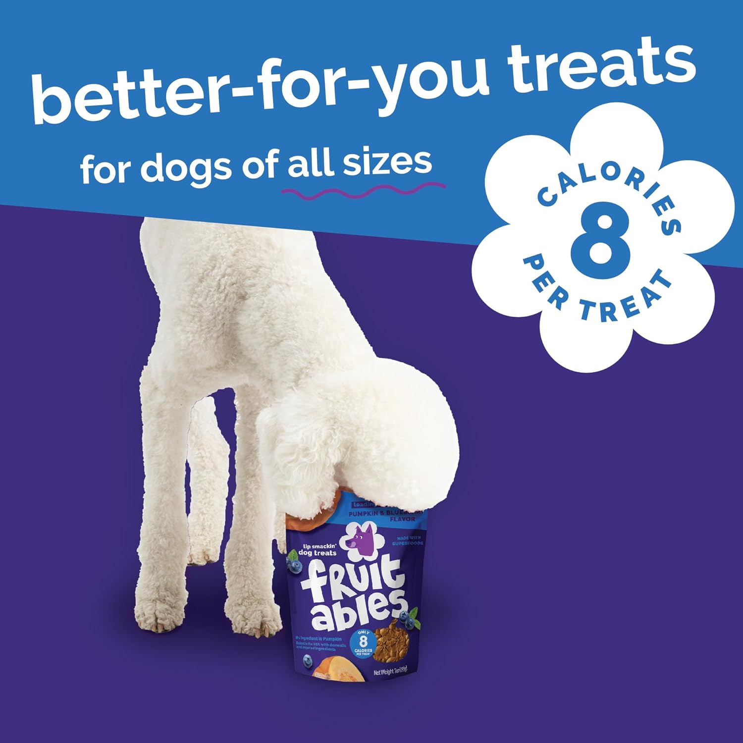 Fruitables Baked Dog Treats, Healthy Pumpkin Treat for Dogs, Low Calorie & Delicious, No Wheat, Corn or Soy, Made in the USA, Pumpkin and Blueberry Flavor, 12oz - Image 6