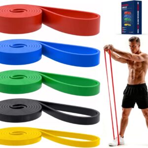 Pull Up Bands, Resistance Bands Set, Exercise Workout Bands for Men & Women, Ideal for Body Stretching, Physical Therapy and Muscle Training