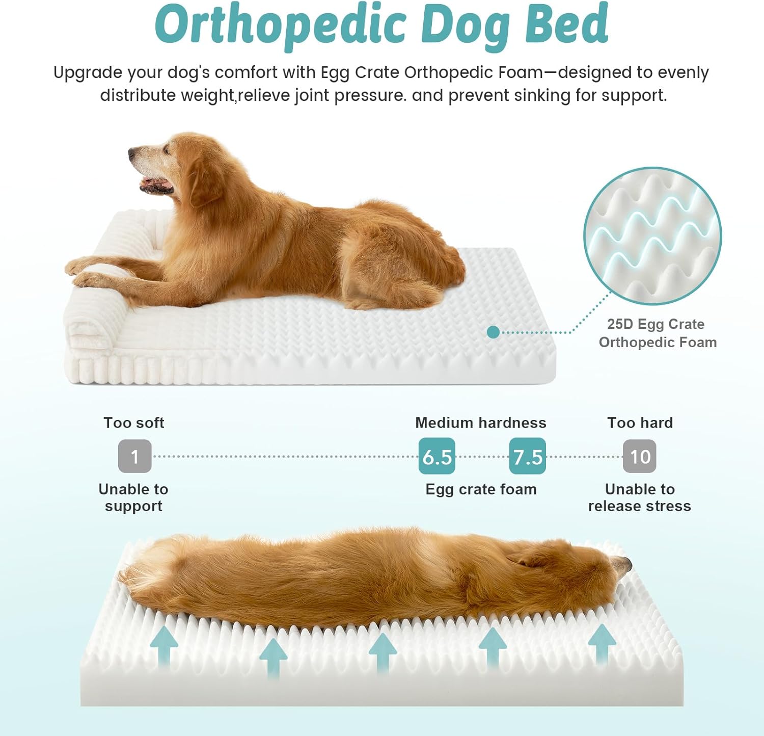COZY KISS Cute Dog Bed for Medium Dogs, Faux Rabbit Fur Orthopedic Foam Dog Bed with Sides, Removable Washable Cover & Waterproof Lining, Comfortable Pet Couch, Cream (36" L x 27" W x 6.5" Th) - Image 3