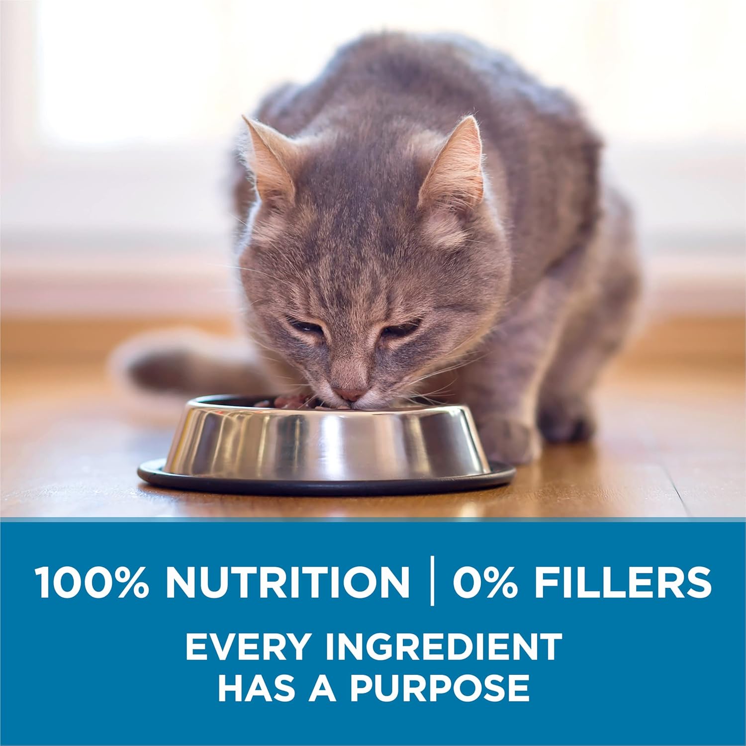 Purina ONE High Protein, Natural Senior Dry Cat Food, Indoor Advantage Senior+ - 7 Lb. Bag - Image 7