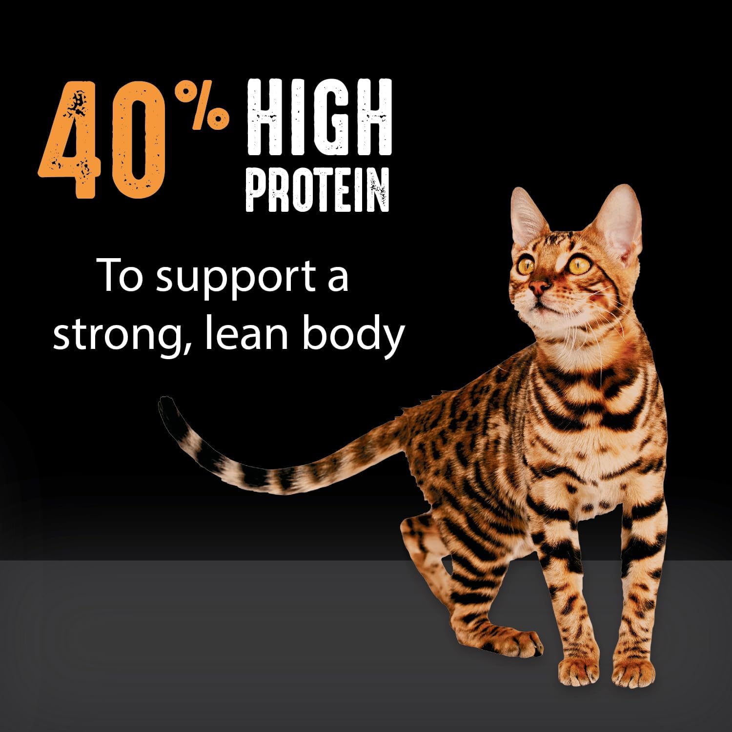 CRAVE Grain Free Adult High Protein Natural Dry Cat Food with Protein from Chicken, 4 lb. Bag - Image 5