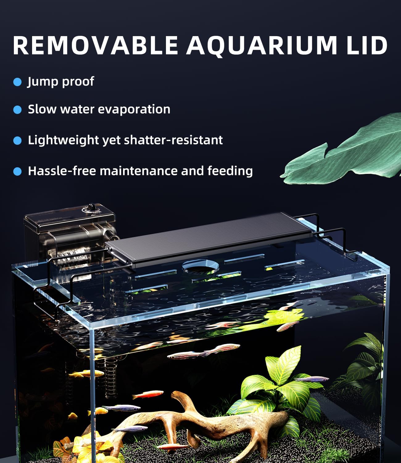 5 Gallon Fish Tank Aquarium Kit with Filter, LED Light with Timer, Siphon Vacuum Cleaner, Lid, Self-Cleaning Glass Rimless Betta Tank - Image 6