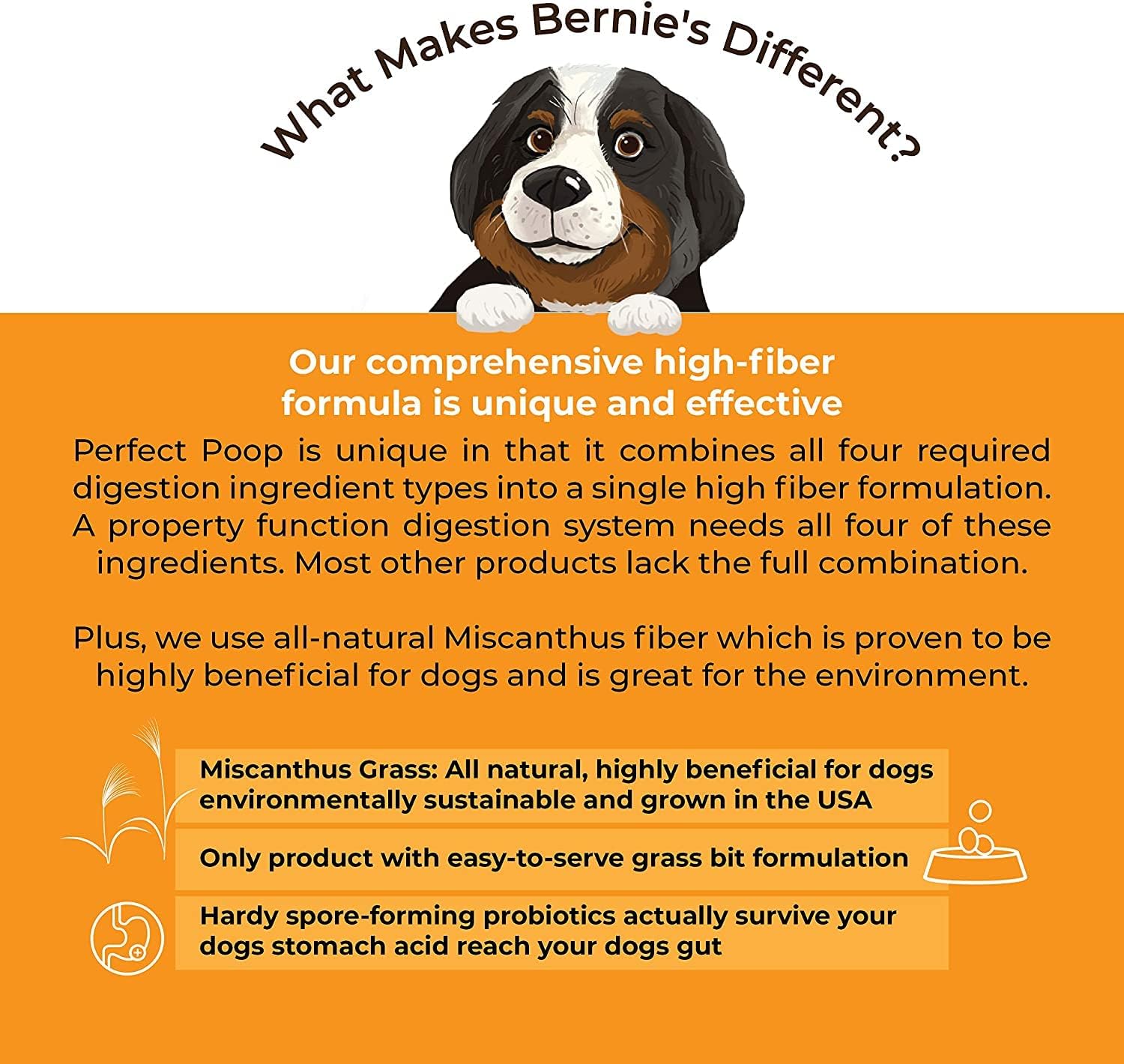 Perfect Poop Digestion & General Health Supplement for Dogs: Fiber, Prebiotics, Probiotics & Enzymes Relieve Digestive Conditions, Optimize Stool, and Improve Health (Cheddar Cheese, 4.2 oz) - Image 7