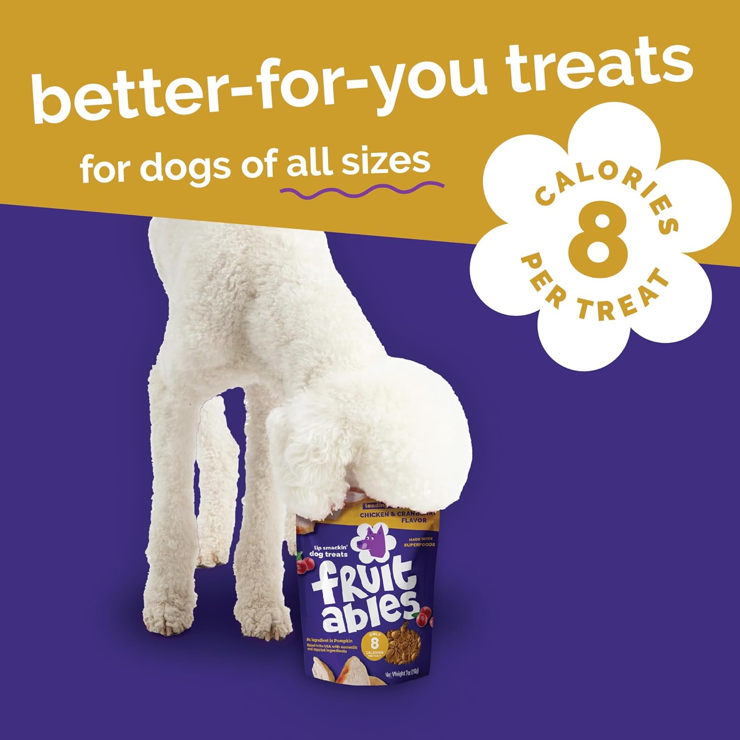 Fruitables Baked Dog Treats, Healthy Pumpkin Treat for Dogs, Low Calorie & Delicious, Made Without Wheat, Corn and Soy, Made in the USA, Allergy Friendly, Chicken and Cranberry Flavor, 20 oz - Image 5