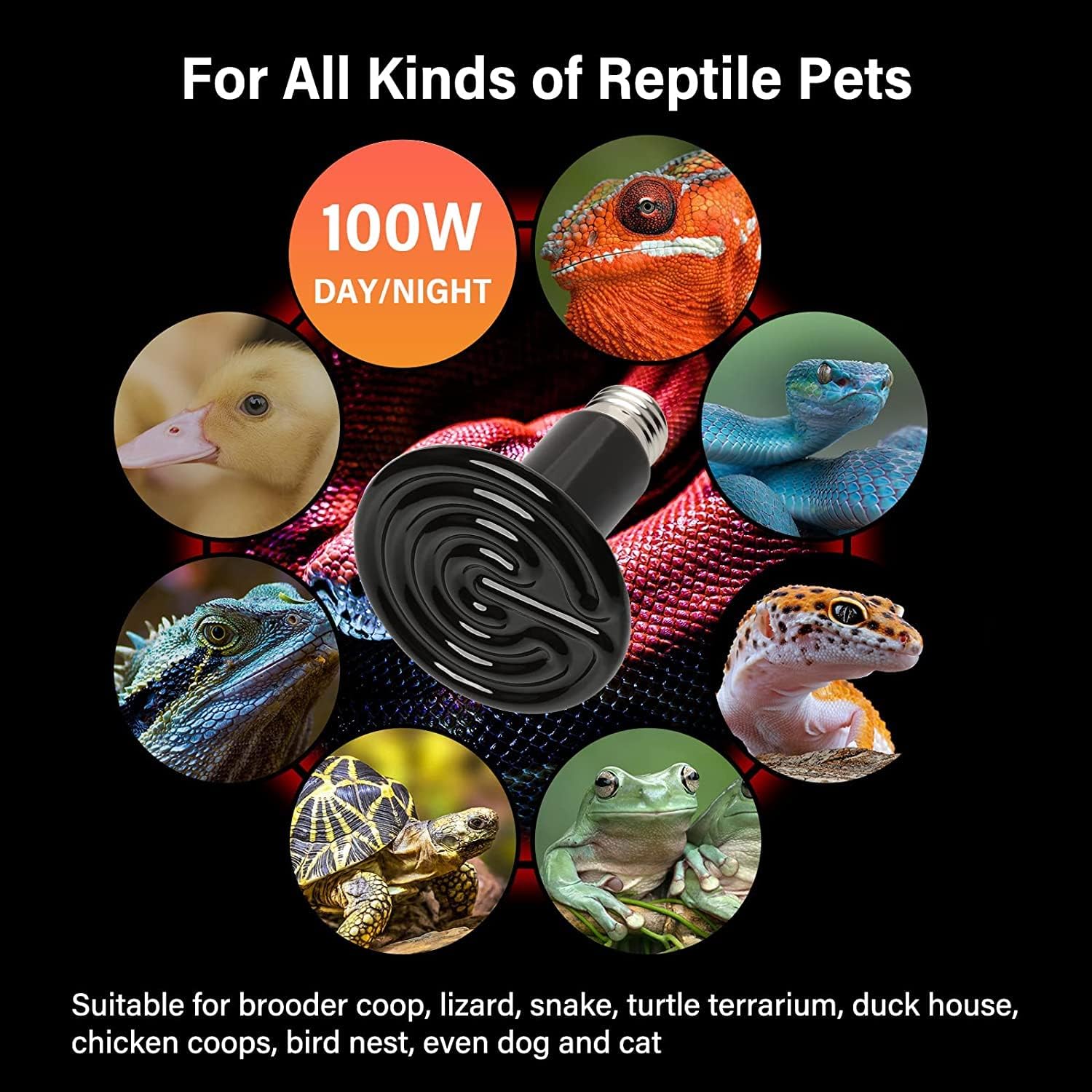 HealSmart Reptile Heat Lamp 100W 2-Pack Ceramic Heat Emitter, No Light Emitting Heat Bulbs for Amphibian Pet Brooder Coop Incubating Chicken, Lizard Bearded Dragon Turtle Snake Terrarium Black - Image 6
