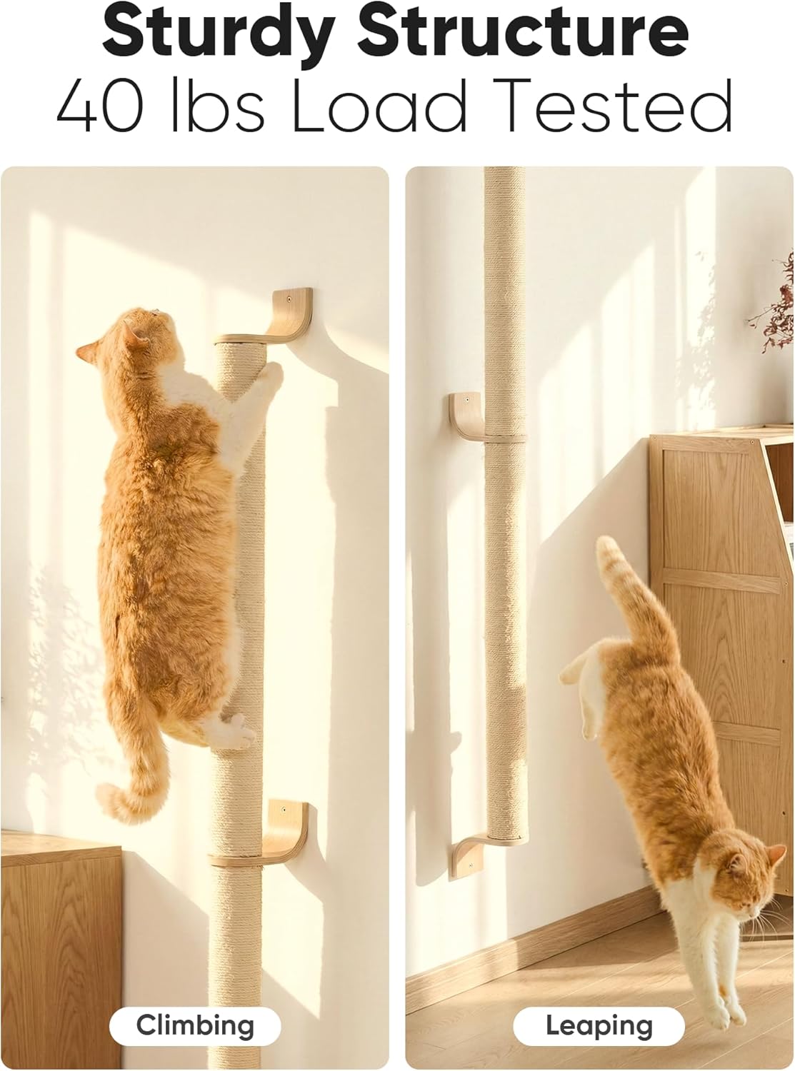 FUKUMARU Cat Wall Scratcher, 60" Tall Wall Mounted Kitten Scratching Post, Sturdy Sisal Climbing Tree for Indoor Large Cats - Image 3