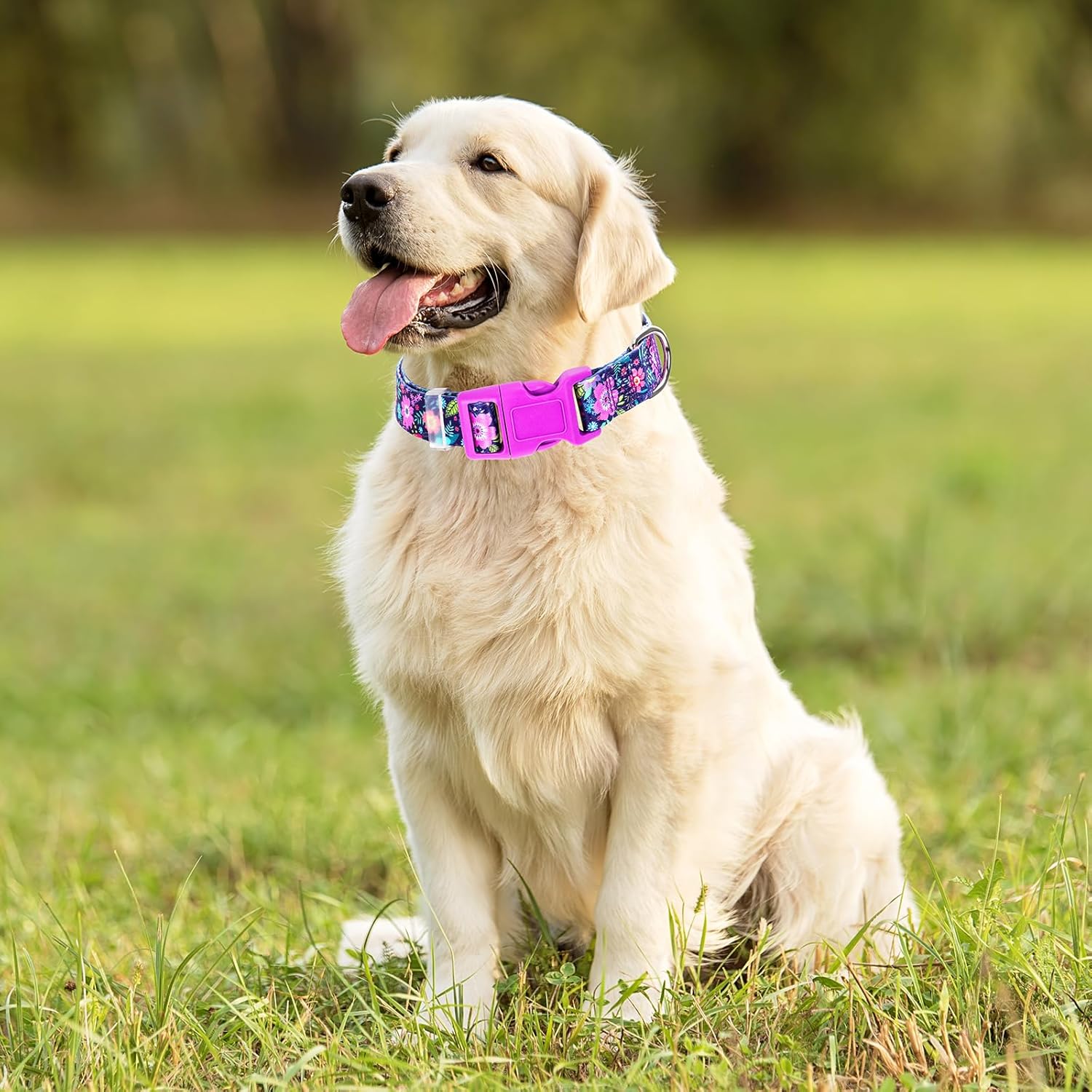 Bohemian Floral Dog Collar - Stylish Floral Pattern, Soft Nylon Adjustable Collar for Small Dogs, Quick-Release Buckle, Durable Pet Collar for Boy and Girl Puppies (Small) - Image 5