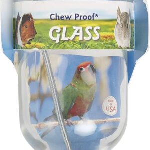 Lixit Glass Water Bottles for Rabbits, Ferrets, Small Birds, Guinea Pigs, Rats, Hamsters and Other Pets (16oz)