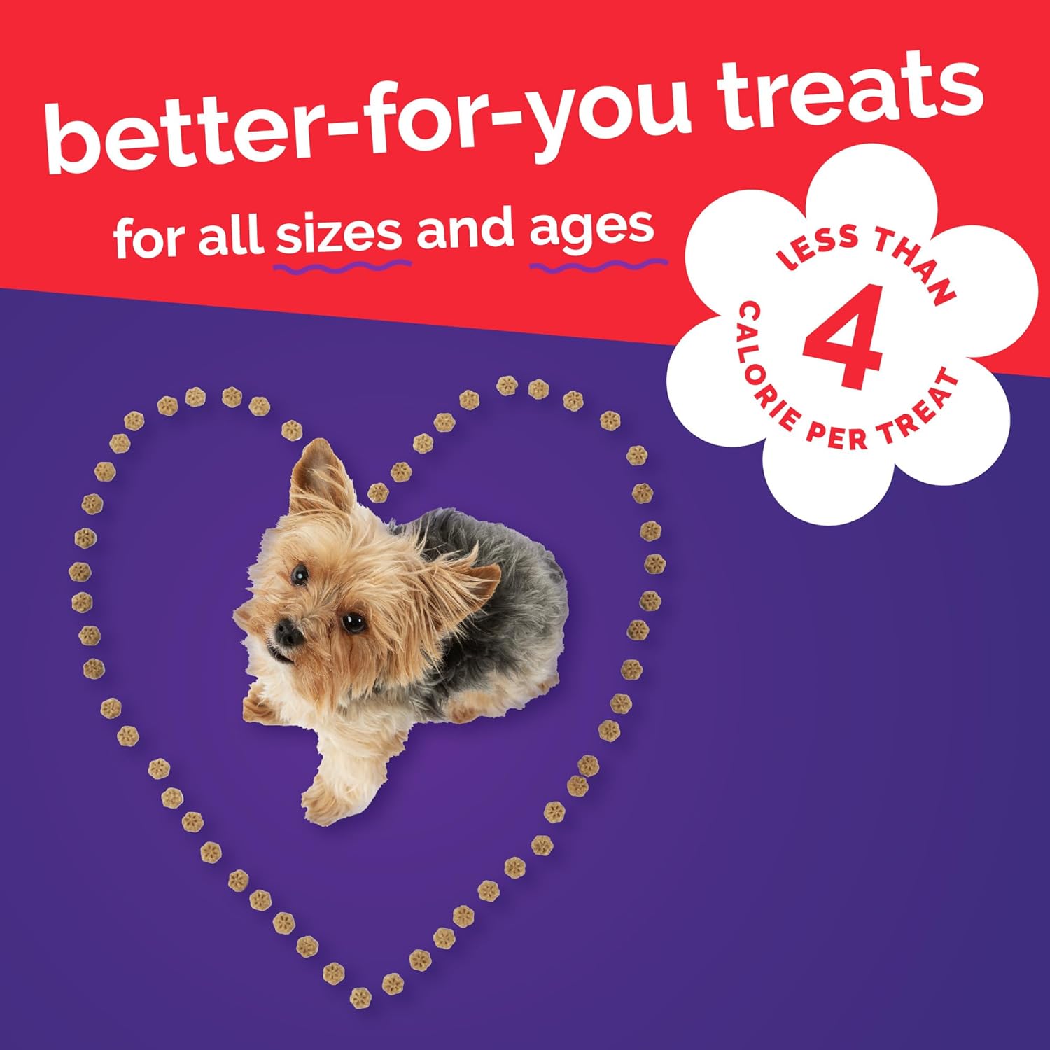 Fruitables Skinny Mini Dog Treats, Healthy Sweet Potato Treat for Dogs, Low Calorie & Delicious, Puppy Training, No Wheat, Corn or Soy, Made in the USA, Bacon and Apple Flavor, 5oz - Image 6