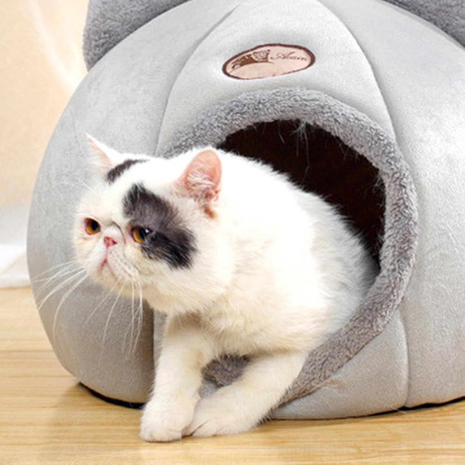 Cat Beds for Indoor Cats, 13 Inch Washable Fluffy Soft Cute Cat Bed Cave with Removable Cushion,Round Plush Faux Fur Self Warming Cat Bed for Small Medium Dogs Puppy Kitten Kitty Supplies - Image 5