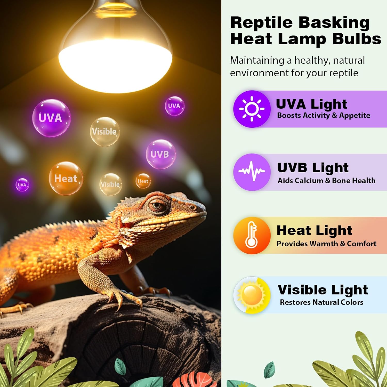 2 Pack 100W Reptile Heat Lamp Bulbs, Full Spectrum UVA/UVB Reptile Light Bulb and Basking Spot Light, UVB Light for Reptiles and Bearded Dragon, Turtle, Lizard, Snake, Amphibians - Image 2