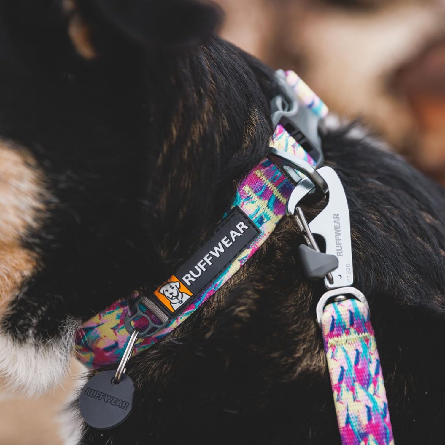 Ruffwear, Front Range Dog Collar, Adjustable Tubelok Webbing, Lightweight, Side Release Buckle, Aluminum V-Ring, Durable for Everyday Use, Reef Fish, 11"-14" - Image 5