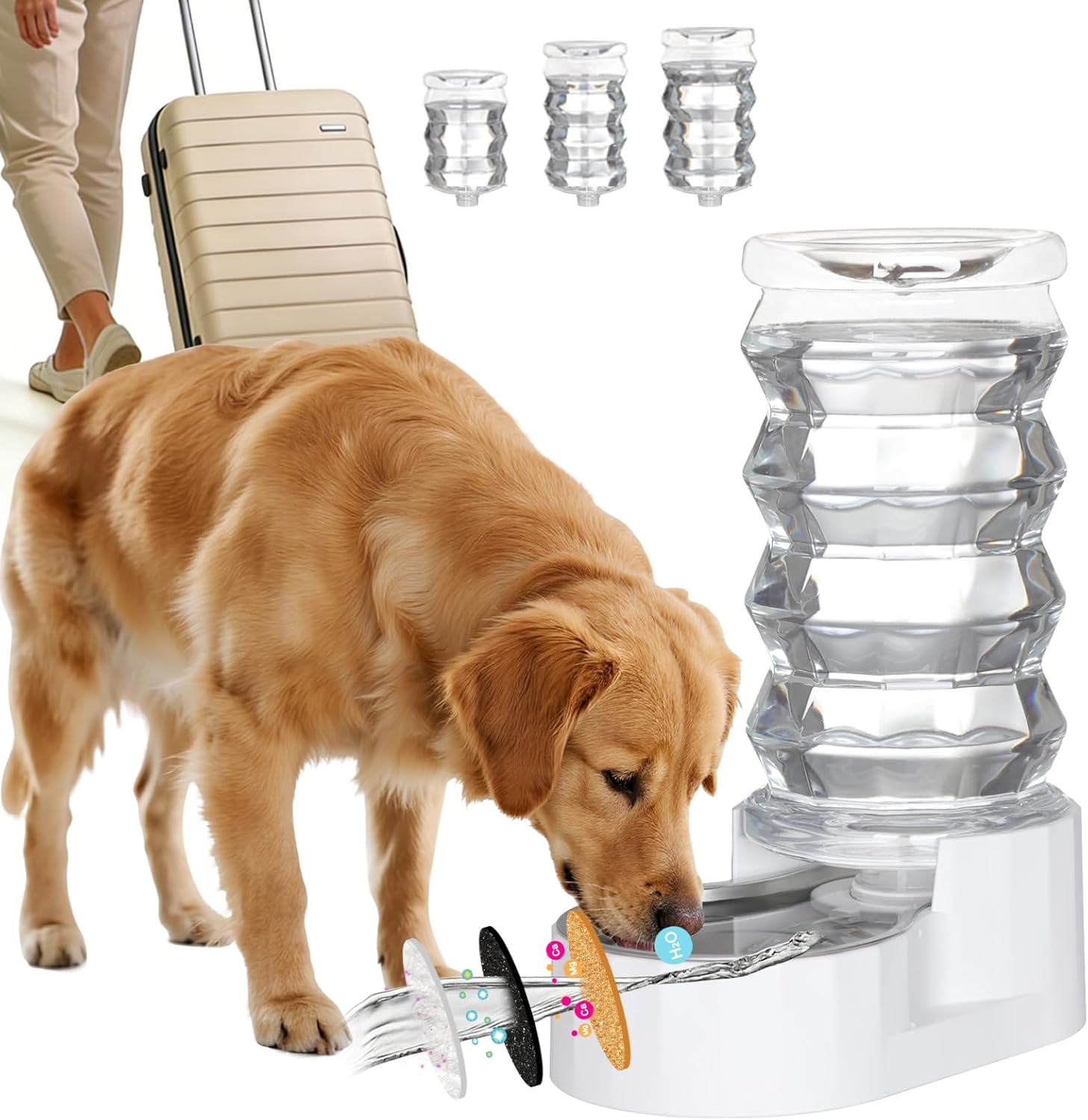 RIZZARI 8L Stainless Steel Gravity Pet Water Dispenser – Auto-Refill Waterer with Filtered Hydration Design for Dogs & Cats, Fresher Daily Drinking for Multi-Pet Homes & Indoor Spaces