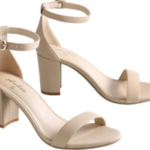 Ankis Heels for Women Open Toe Ankle Strap Chunky Heel Sandals 2.75 Inch