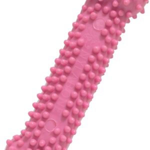 Nylabone Textured Teething Bone Puppy Chew Toy, Soothing Puppy Teething Bone, Enrichment Toy for Puppies, Pink, Chicken Flavor, X-Small Dogs – Up to 15 Ibs, 1 Count