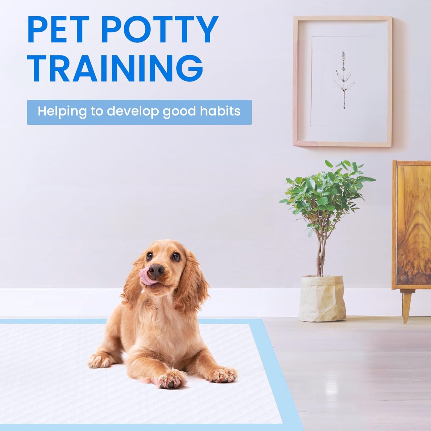 Dog Pee Pads Extra Large, Training Pads 28x30 50 Count, Pee Pad for Dogs, Super Absorbent Leak-Proof Quick Drying Pee Pads - Image 6