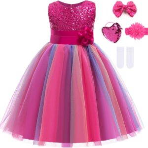 Little Girl’s Sequin Sleeveless Mesh Rainbow Party Wedding Flower Dress with Accessories