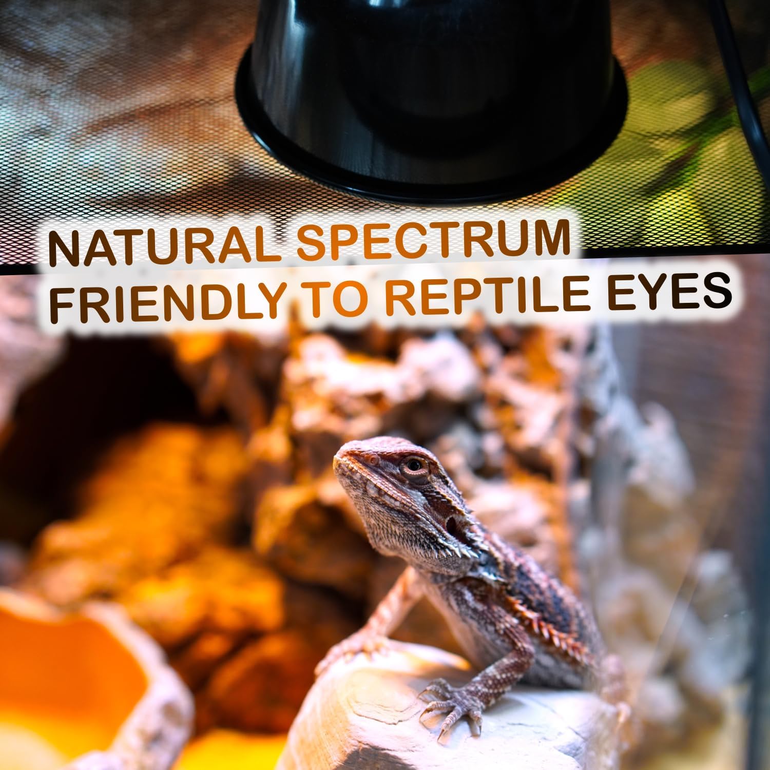100W Reptile Heat Lamp Bulbs, 2 Value Pack, Daylight Basking Spot, 2025 G3, Bearded Dragon/Turtle/Lizard/Snake Heating Bulb, UVA Heat Lamp, Basking Light for Reptiles - Image 2