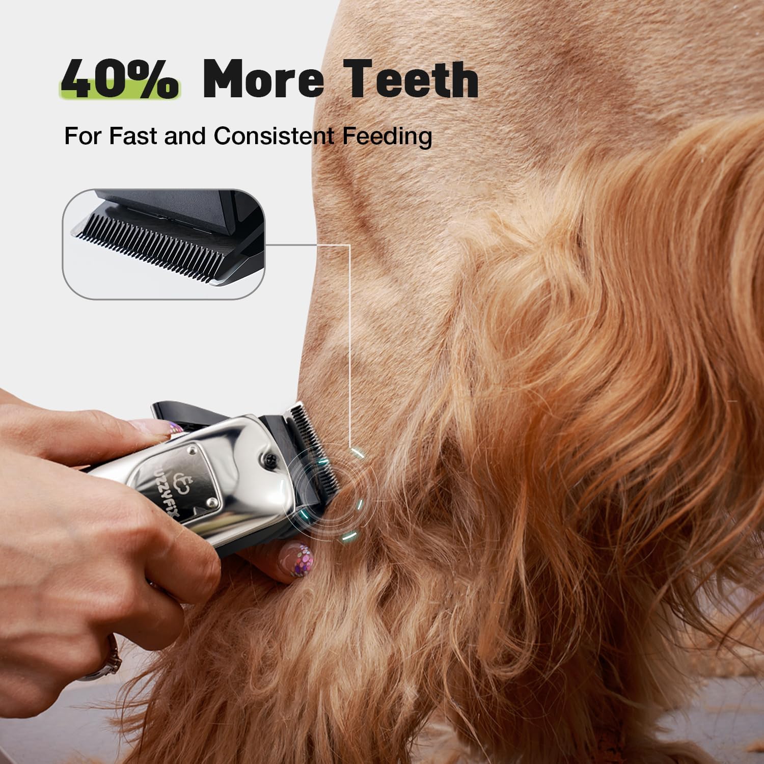 Dog Grooming Kit, Dog Clippers for Grooming for Thick Heavy Curly Coats, Professional Pet Paw Trimmer with Nail Grinder Low Noise Rechargeable Stainless Steel Hair Trimmer for Dogs Cats - Image 3