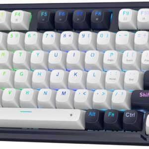 Redragon K673 HE Rapid Trigger Gaming Keyboard, 81 Keys 8K Wired Mechanical Keyboard w/Next-Gen UltraMag 100% POM Silky Magnetic Switch, Dual-Module Floating Structure Design, 5-Layer Noise Dampening