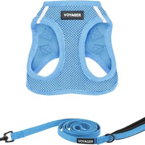 Best Pet Supplies Voyager Step-in Air All Weather Mesh Harness and Reflective Dog 5ft Leash Combo with Neoprene Handle, for Small, Medium and Large Breed Puppies – Set (Baby Blue), Medium
