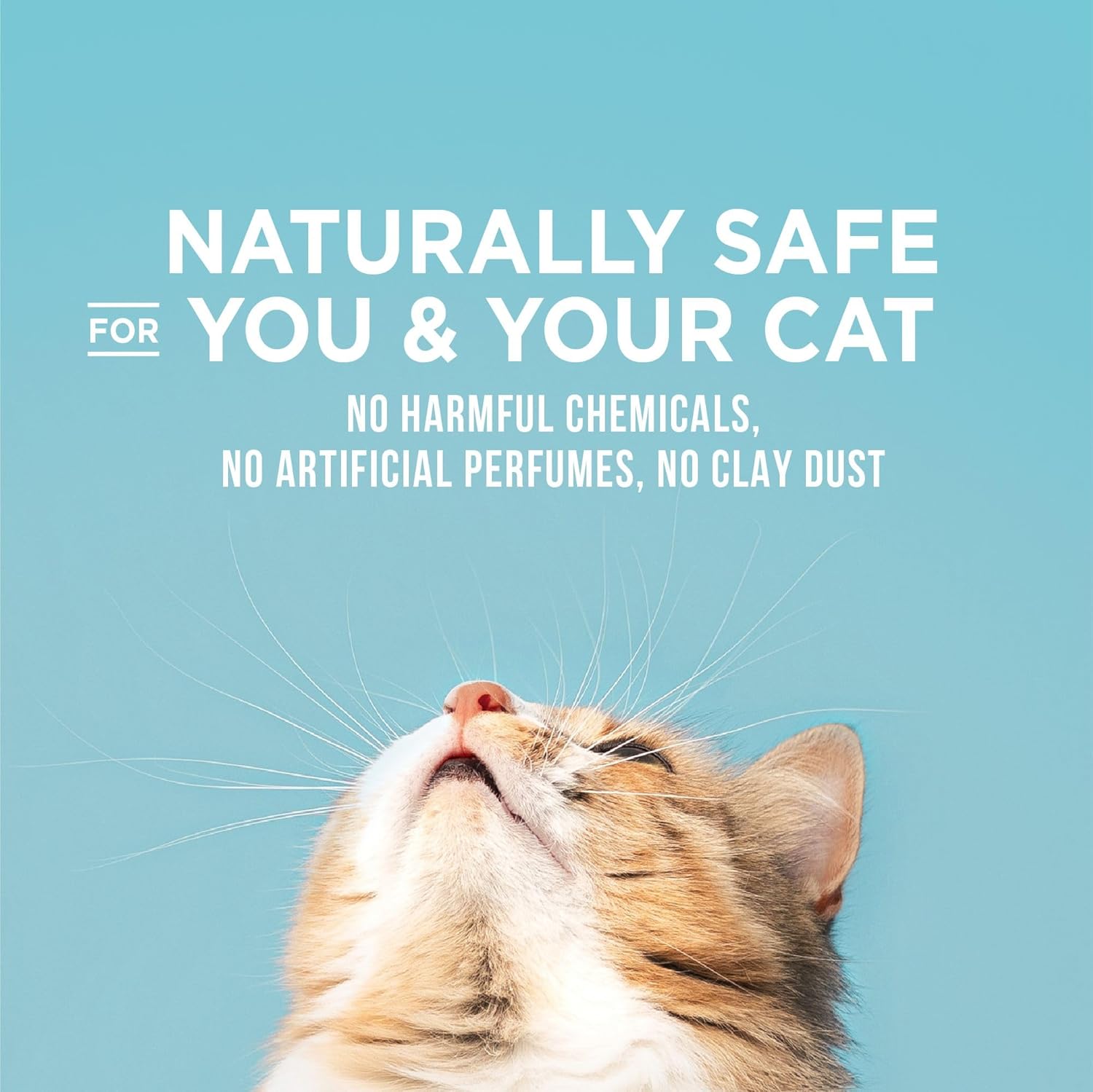 WORLD'S BEST CAT LITTER Poop Fighter Maximum Odor Defense, 15-Pounds - Natural Ingredients, Quick Clumping, Flushable, 99% Dust Free & Made in USA - Long-Lasting Odor Control & Easy Scooping - Image 4