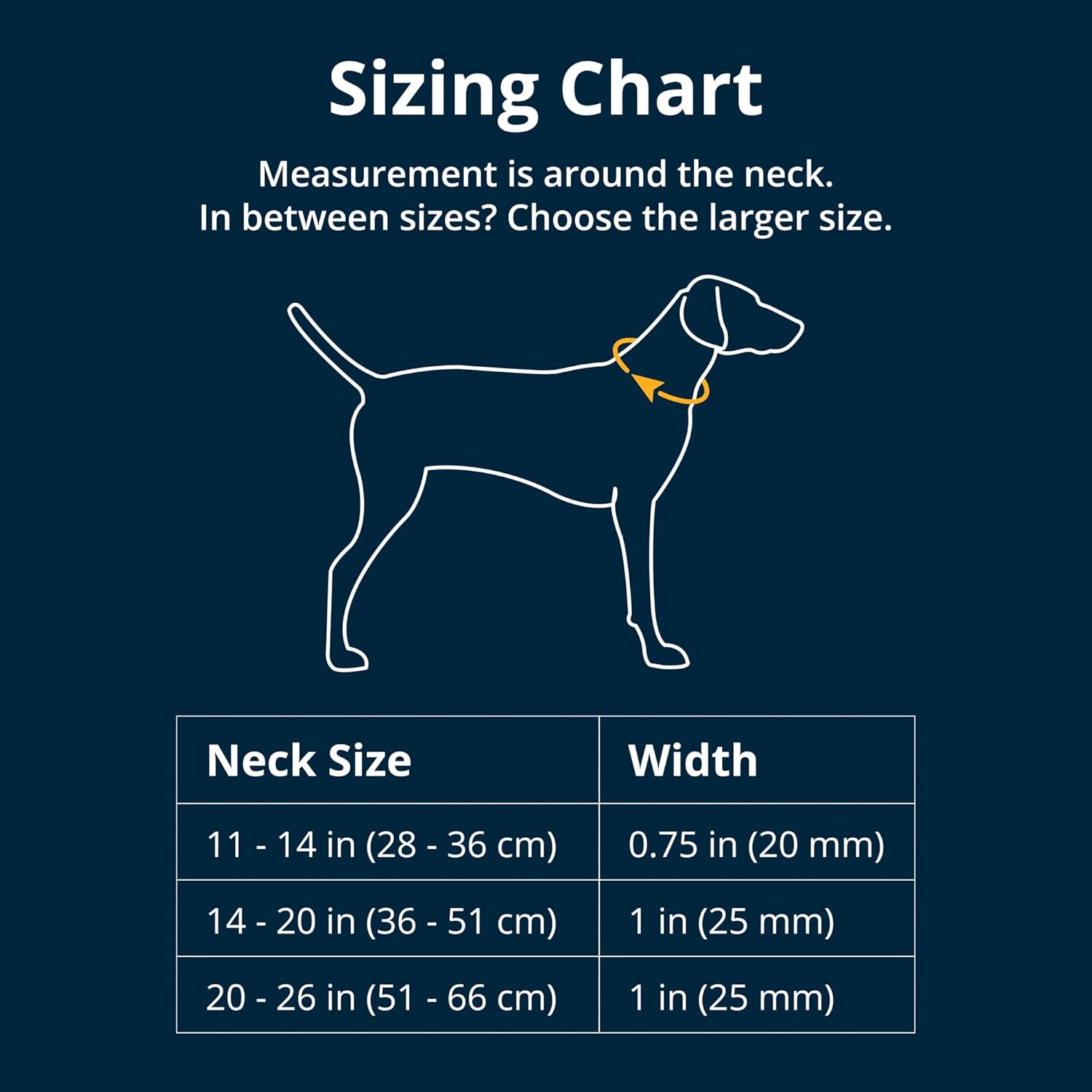 Ruffwear, Front Range Dog Collar, Adjustable Tubelok Webbing, Lightweight, Side Release Buckle, Aluminum V-Ring, Durable for Everyday Use, Reef Fish, 11"-14" - Image 3