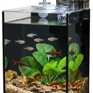 2.2 Gallon Small Aquarium Set Glass Fish Tank,Desktop Small Aquarium Kit for Beginners and Children to Keep Betta Fish, Goldfish, Shrimp, and Aquatic Plants (Black, 2.2 Gallon (Complete Kit))