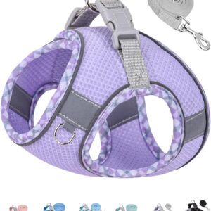 Petank Dog Harness for Small Medium Dogs No Pull, Puppy Harness and Leash Set, Step in Dog Harness for Walking, Running, Training, Small Dog Vest(Purple, S)