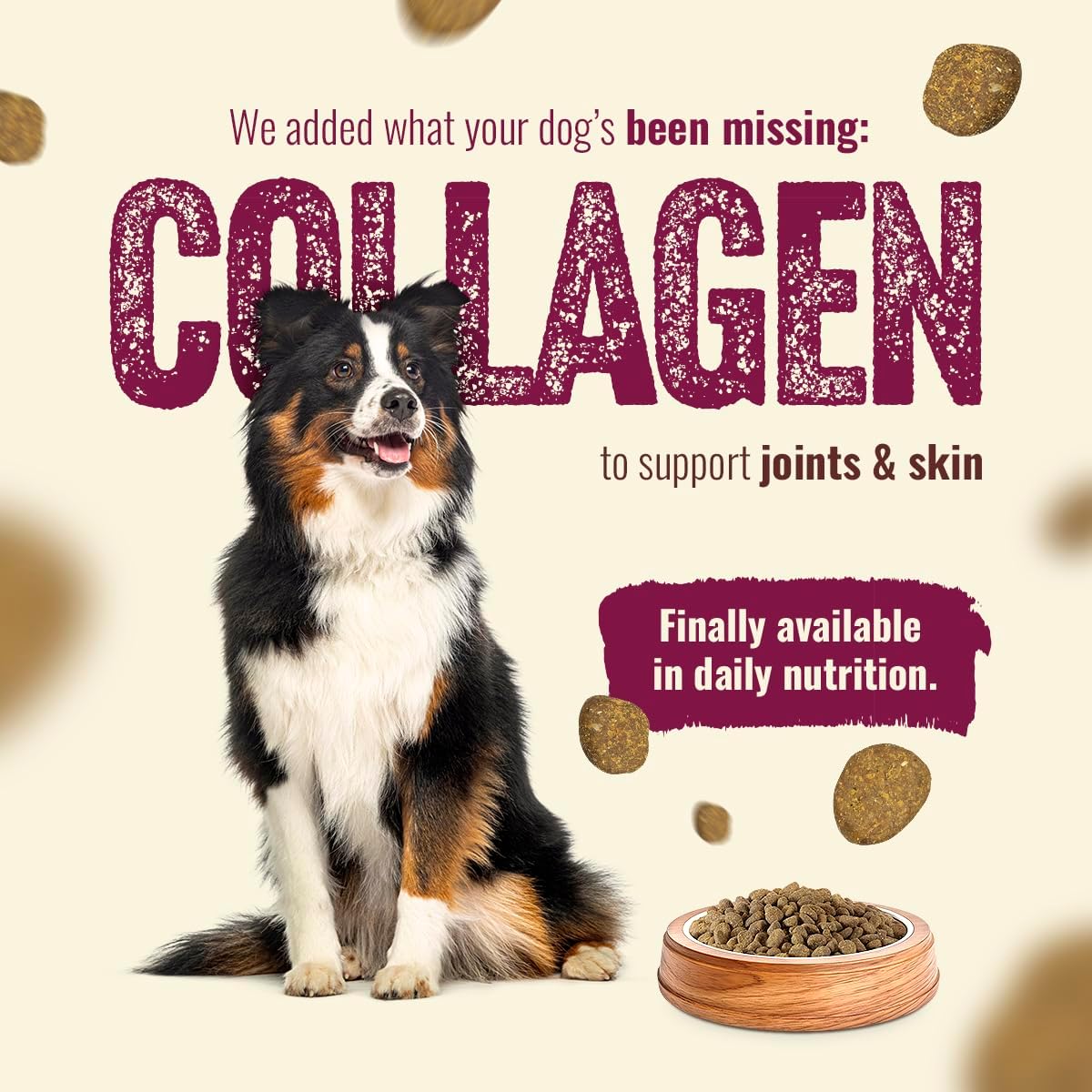Natural Farm High Protein Dry Dog Food for All Life Stages with Collagen, Every Bag Contains 70% Beef & Pork and 30% Ancient Super Food Grains, Complete and Balanced Nutrition, 22.5 Lbs. Bag - Image 4