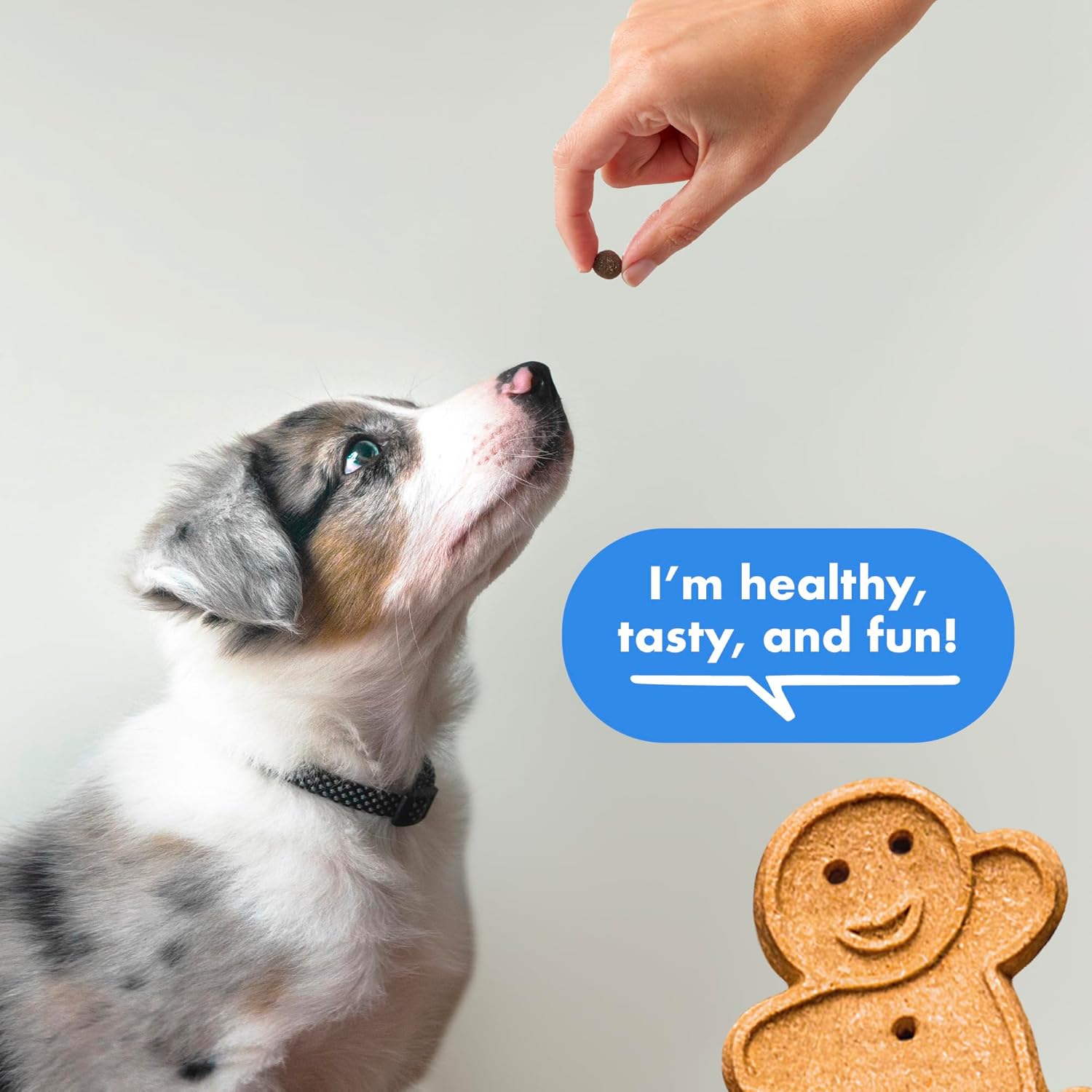 Buddy Biscuits Trainers Training Bites Soft & Chewy Dog Treats, Bacon, 10 oz. Pouch - Image 4