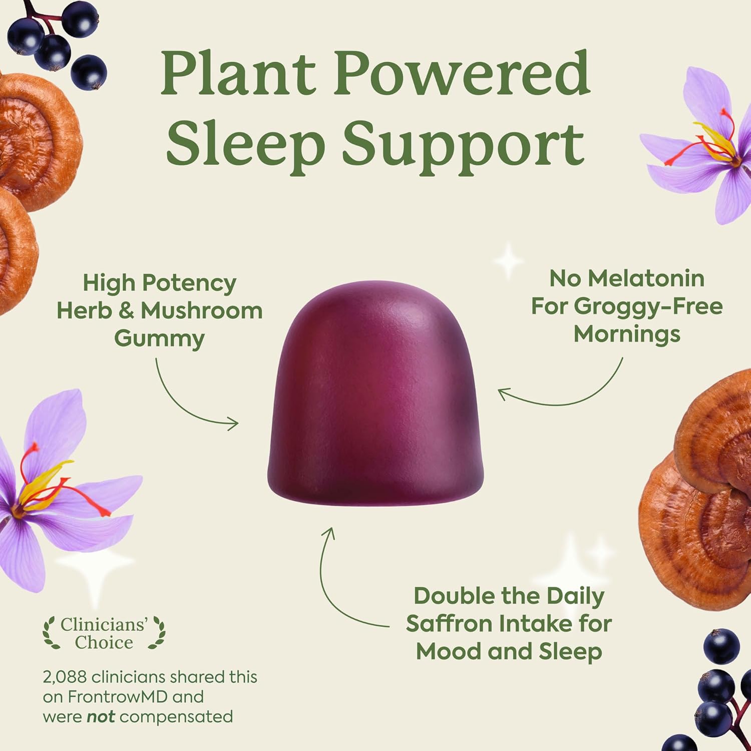 Plant People WonderSleep Mushroom Gummies Supplement for Sleep, No Melatonin with Reishi Super Mushrooms, Wild Elderberry Flavor, Sugar-Free (60 Count) - Image 2